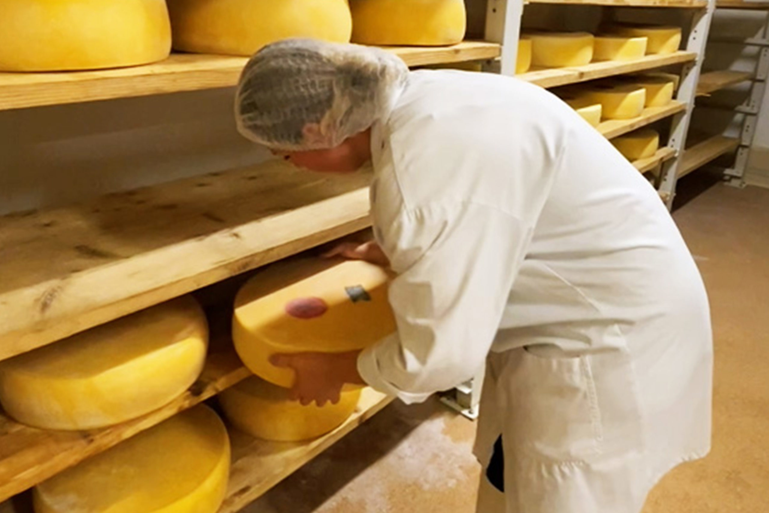 Logo de la formation